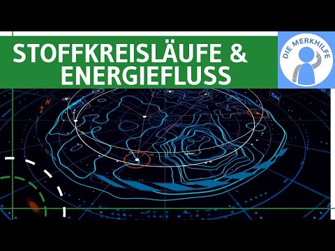 Video Thumbnail: Stoffkreisläufe & Energiefluss - Begriffe, Prozesse, biochemisch, geochemisch, biogeochemisch u. a.