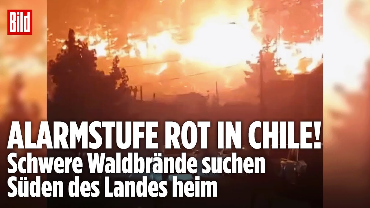 FLAMMENINFERNO: 20.000 Menschen evakuiert! Mindestens 19 Waldbrände lodern im Süden von Chile