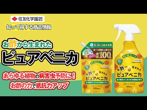 植物に活力を与えるために緊急に知っておくべき、庭でのエプソムソルトの6つの使い方!  庭園