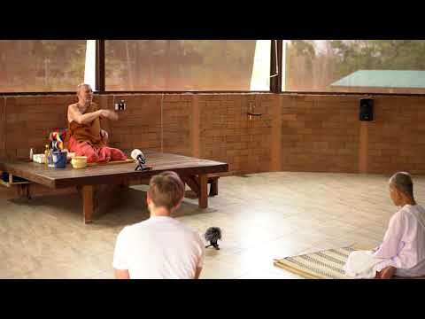 "Old age, sickness, and death are our best reminders" Dhammatalk by Ajahn Martin (5/02/20)