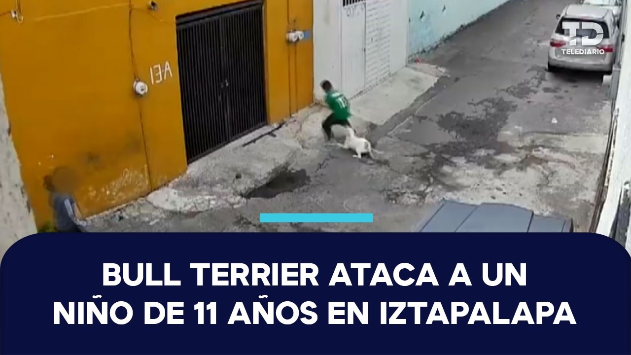 Así fue atacado un menor de 11 años por un perro en San Miguel, Iztapalapa; le mordió la pierna