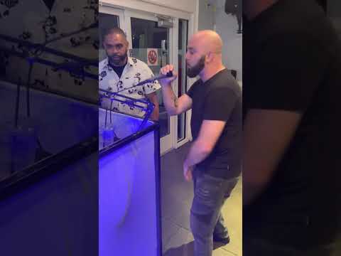 NYC Hot 97 DJ Danny s & DJ triple threat