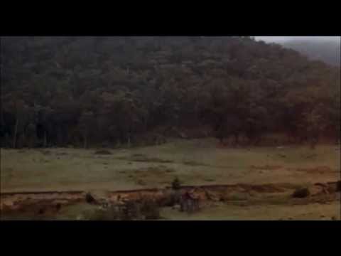 Young Einstein - Beer