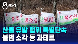 산불 유발 행위 특별단속..불법 소각 등 과태료 / SBS 8뉴스