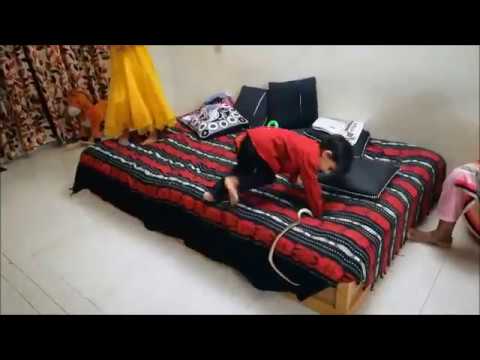 Fun with plastic snake 2017