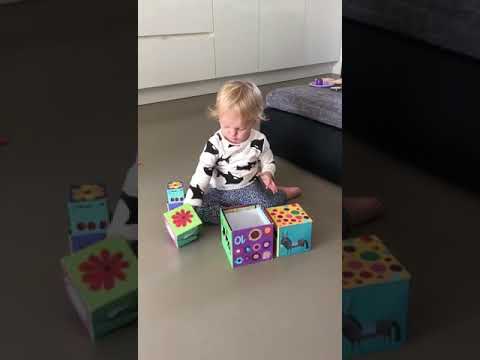 Turn de construit Djeco