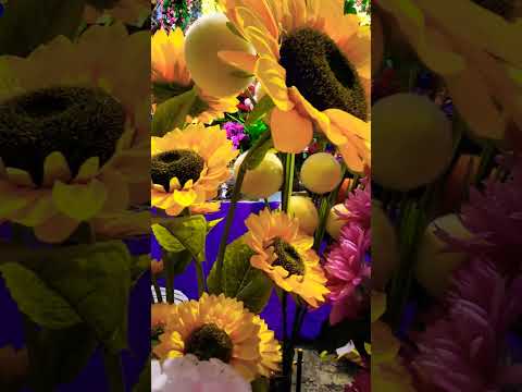 #flowers #nature #travel