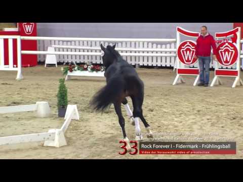 33  Rock Forever   Fidermark   Frühlingsball