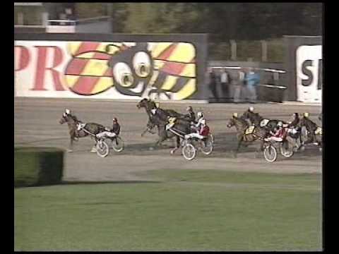 Svenskt Travkriterium 1991 - Pont Neuf / Stig H Johansson