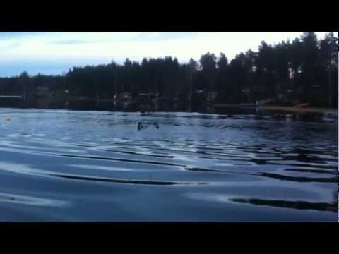 Ola Lustig - Snöskoter på vatten