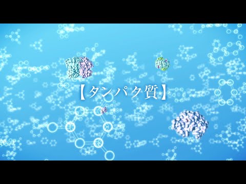 【ココカラ】Research45「高速AFMが解明するタンパク質の世界」/金沢大学研究紹介動画