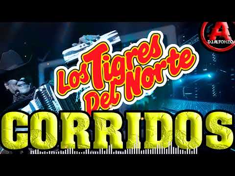 CORRIDOS MIX 🔥 LOS TIGRES DEL NORTE 🔥 DjAlfonzo