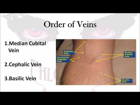 Phlebotomy: The Order of Veins