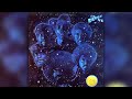 Bloodstone - Little Green Apples