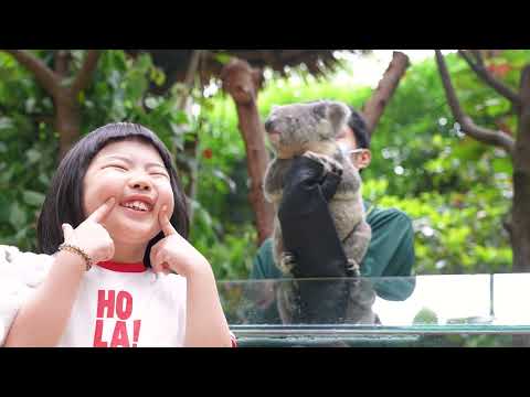 元元嘅廣州長隆初體驗｜長隆水上樂園+長隆野生動物世界+長隆國際大馬戲 玩到唔捨得返屋企！