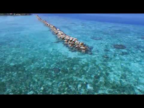 LP - Keine Ideen (Official SONG)