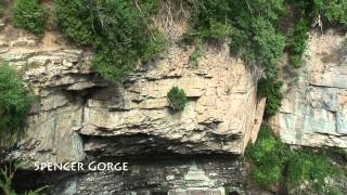 The Giants Rib - Niagara Escarpment UNESCO World Biosphere Reserve
