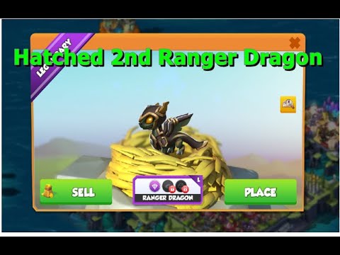 Hatched 2 Ranger Dragon-Dragon Mania legends | Great Dragon Race Clan Event | DML