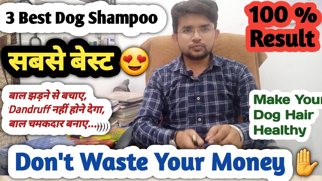 3 Best Shampoo For Dogs || 100 % Results || Prevent Hair Fall, Dandruff || For Strong And Shiny hair