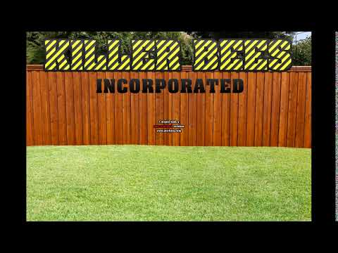 David Letterman, Killer Bees, Grape Studios, Sony Pictures Logos (2005)