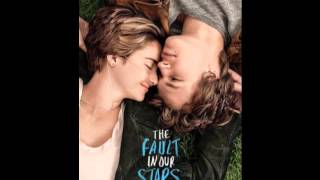 Best Shot- Birdy TFiOS Soundtrack