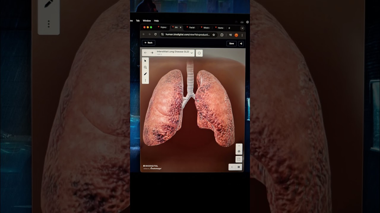 Top WEBSITES Every Medical Student Should Know About!