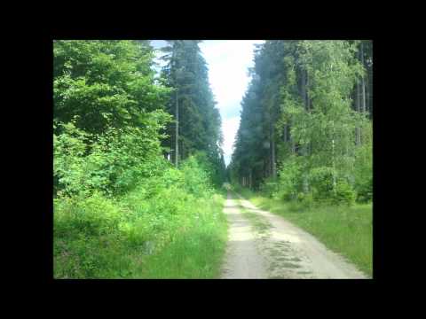 Dano & Rosano. Nial WeS  ( Album Romno Tape)its Coming ..