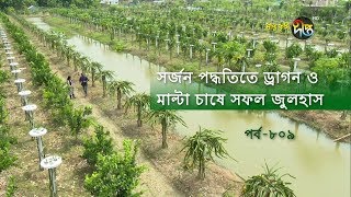 Deepto Krishi/দীপ্ত কৃষি- সর্জন পদ্ধতিতে ড্রাগন ও মাল্টা চাষে সফল জুলহাস | নাটোর | deepto tv