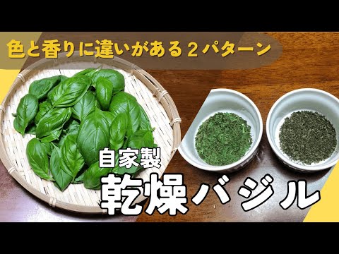 バジルの乾燥: スパイスをストックするためのヒント 植物
