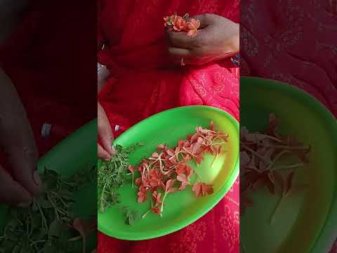 #flowers #trending do you know these flowers?