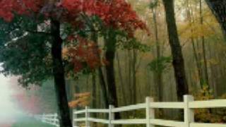 Massari - Inta Hayati