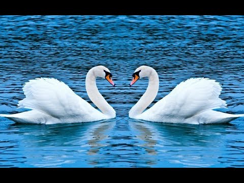 Нашим детям