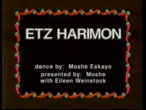 Etz Harimon - עץ הרימון | Moshe Eskayo - משה אסקיו | Hora Keff 2000