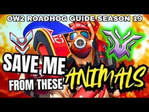 Ultimate Roadhog Guide - Gamesense and Fundamentals | Overwatch 2 Educational 
