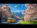 SPRING HAS ARRIVED IN INTERLAKEN CITY SWITZERLAND Swiss Town Walking Tour