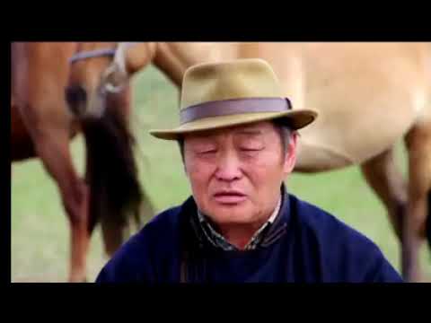 Хүлэг үүрсэх цаг - МУТМУ Д.ОНОН | Khuleg uursekh tsag - MUTMU D.Onon