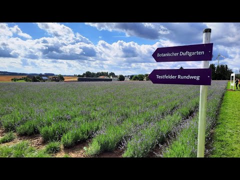 "Petite Provence" in Deutschland