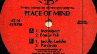 Peace Of Mind ‎– Introspect