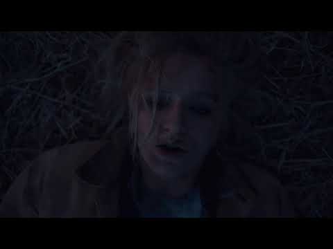 Zetetics - Lotus [Official Music Video]