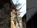 Welcome To Mexican Bird Hunting Paradise Quail Dove Travelmexico Duckseason