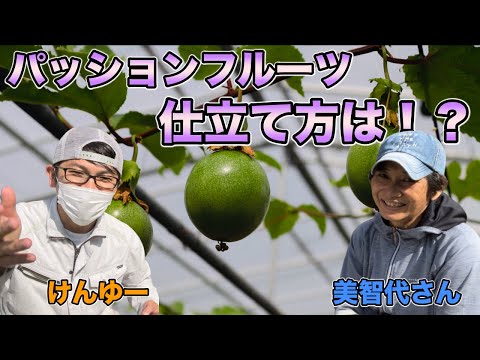 IUCN分類における絶滅の危険性を示す図。