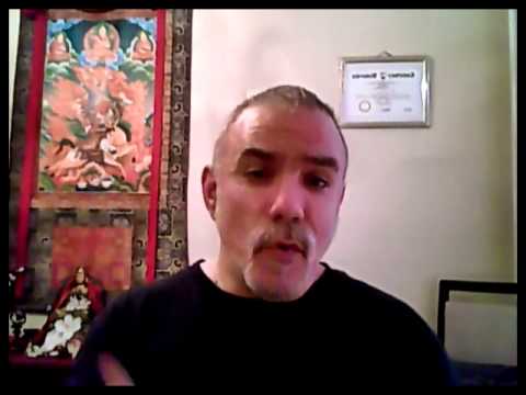 Zenkondo - Habituation