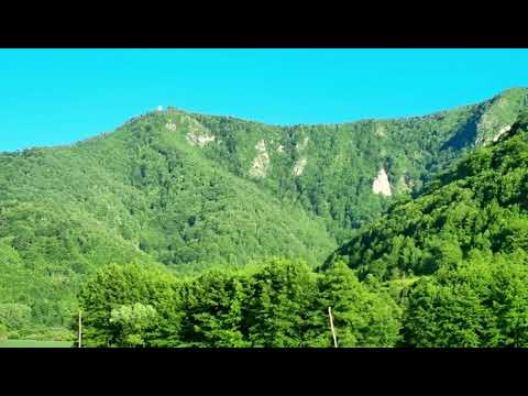 Jovica Mitrović -Nekada je kosa crna k'o ugarak bila