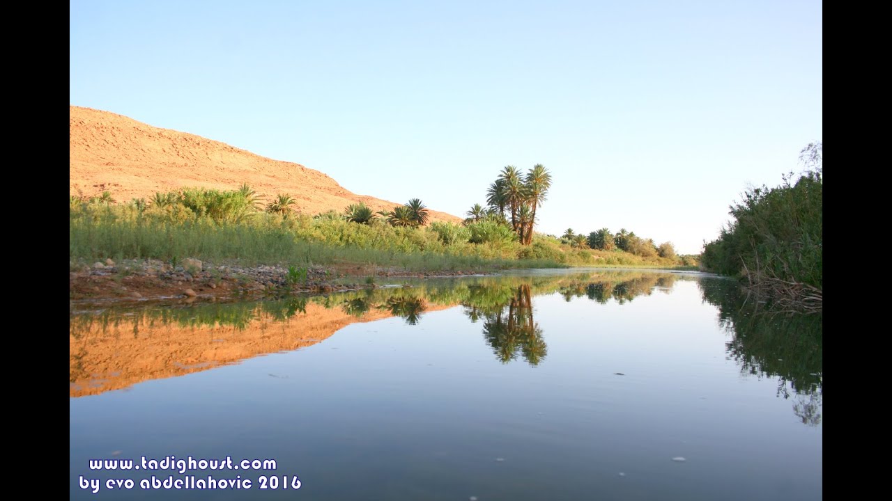 البوم صور