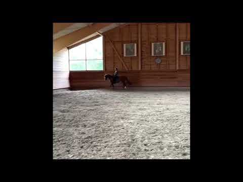 Lemonie e. Lemony’s Nicket-Belissimo M-Goethe