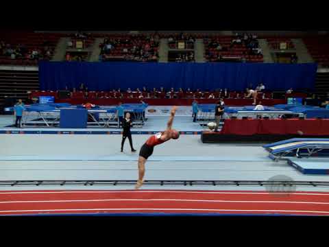 SCHWAIGER Jonathon (CAN) - 2017 Trampoline Worlds, Sofia (BUL) - Qualification Tumbling Routine 1