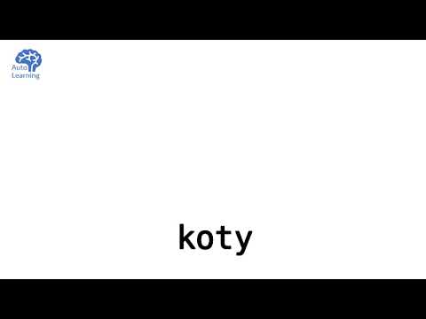 500 Polish words (lesson 21/25)