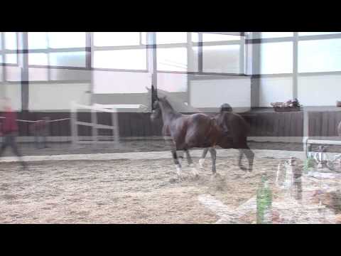 2 151  Ampere Weltmeyer