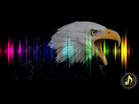 Cinematic Eagle Cry Sound Effect