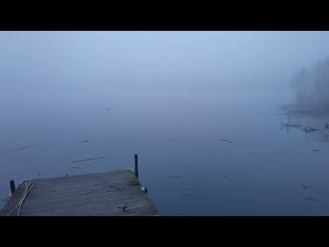 DIMMA över SKÄRSJÖN i RONNEBY - 2022-01-02 - En kortfilm om ingenting alls (Huawei P40 PRO)